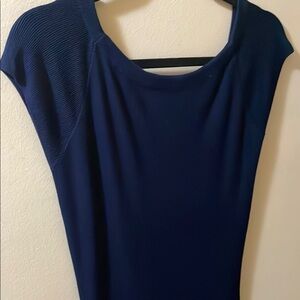 Zara Blue Sheath Dress with Cap Raglan Sleeves